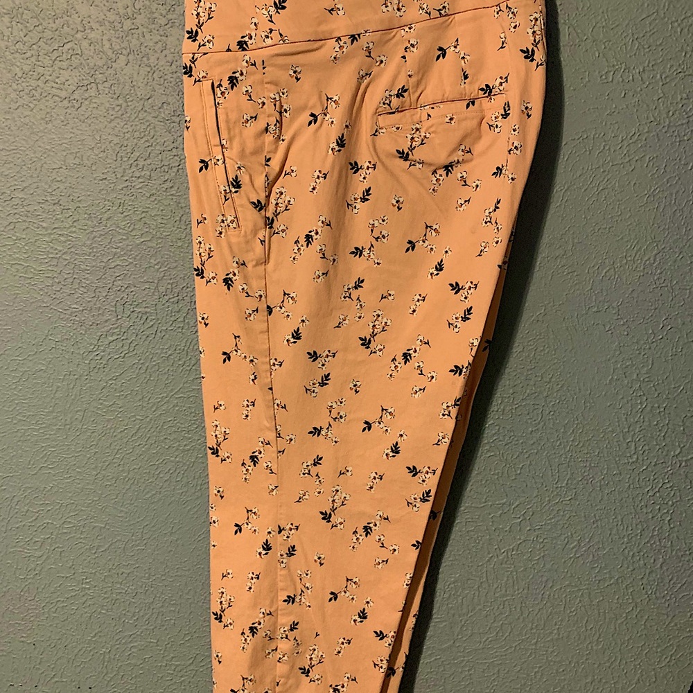 Lane Bryant Allie ankle pant